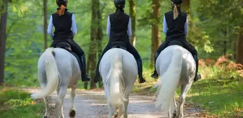 balade à cheval Saint Gildas des Bois-5