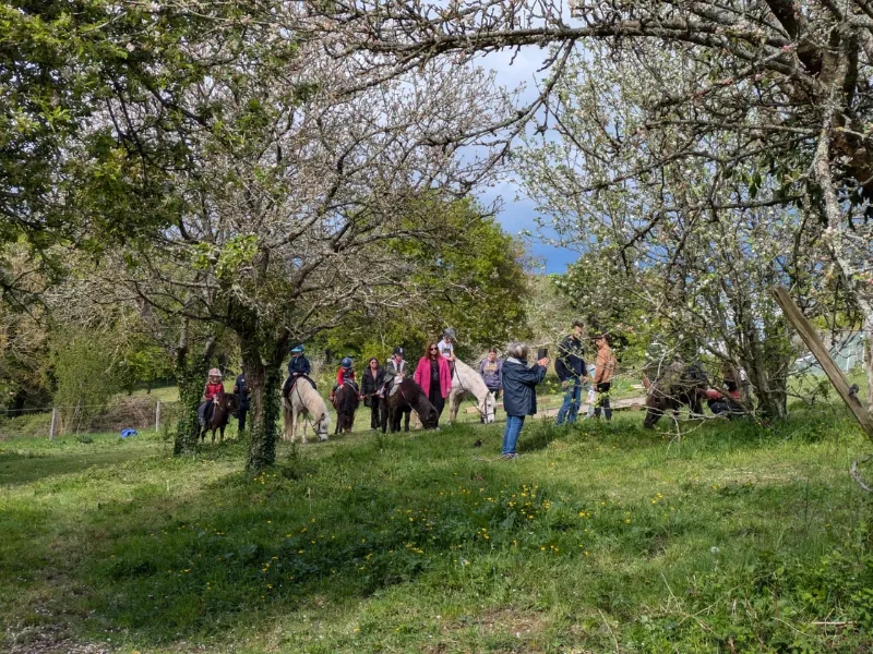 cours d’equitation pontchateau