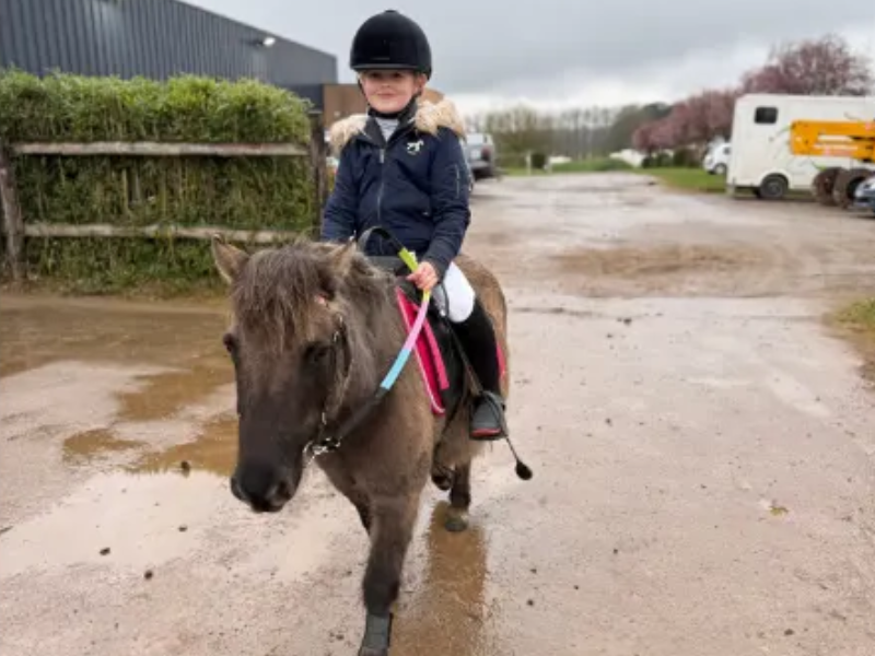 ecurie pour cheval severac