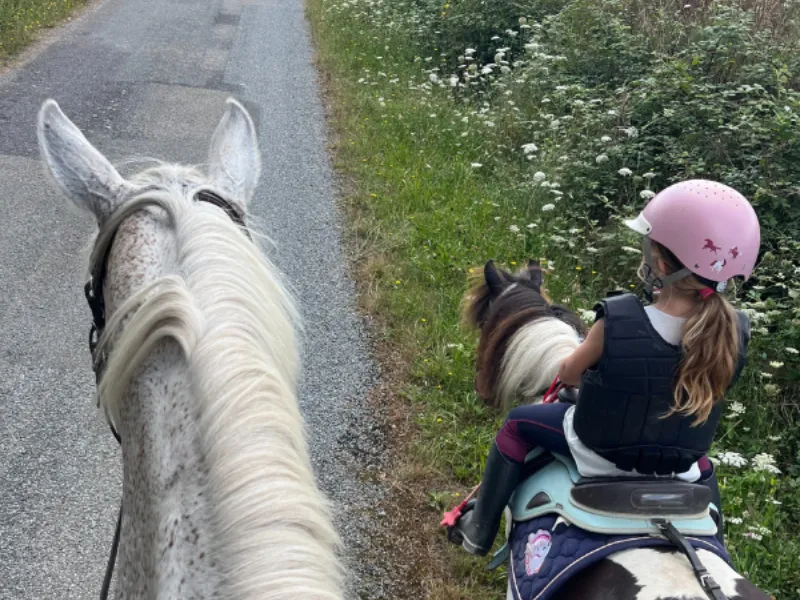 ferme equestre fegreac