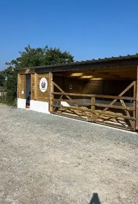 pension pour chevaux Saint Dolay-4
