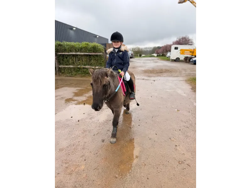 pension pour chevaux saint gildas des bois