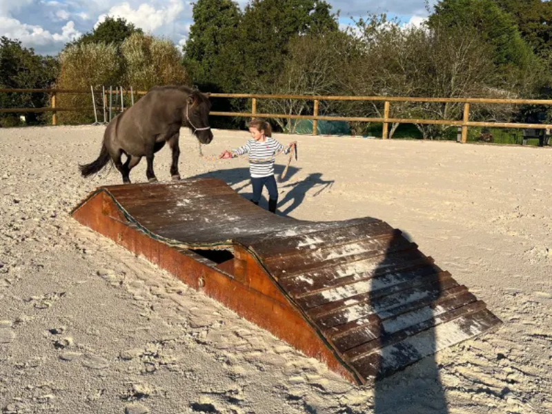 poney club fegreac