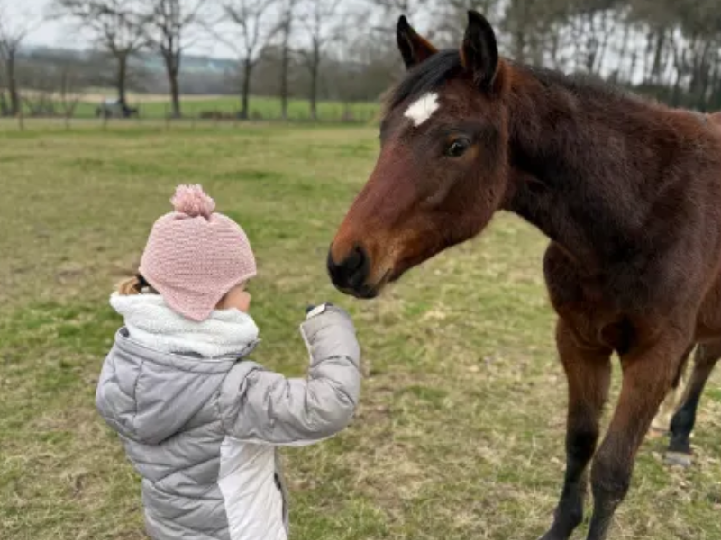 poney club guenrouet
