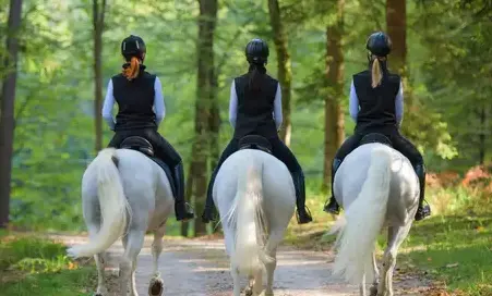 poney club Redon-2