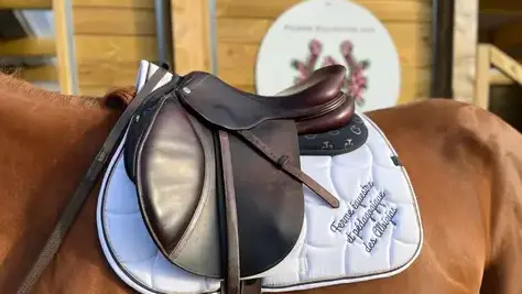poney club Saint Dolay-3