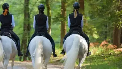 poney club Saint Dolay-5