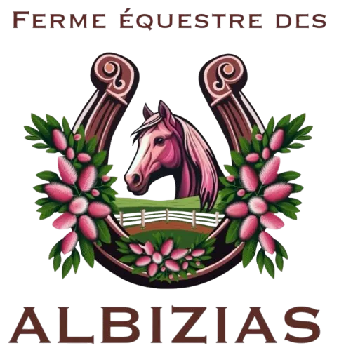 stage d equitation guenrouet