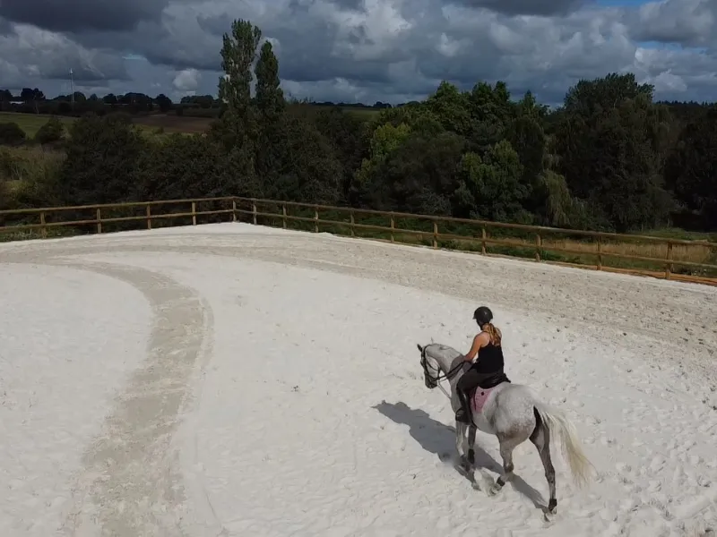 stage d equitation saint dolay